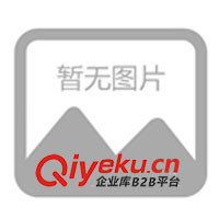 T恤衫、gd商務(wù)T恤、T恤貼牌加工、廣告衫、外貿(mào)衫